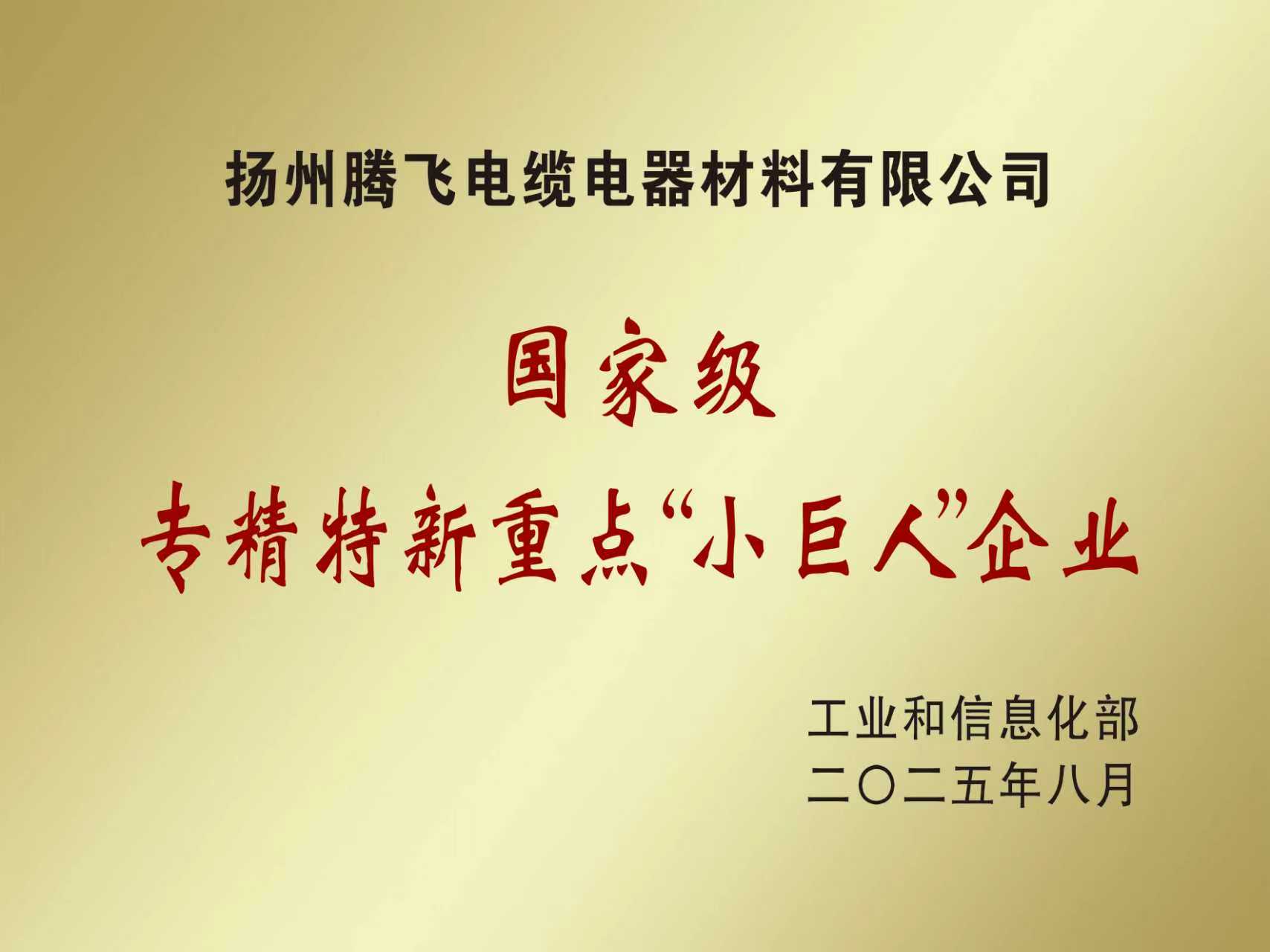 National level specialized, refined, special and new key 